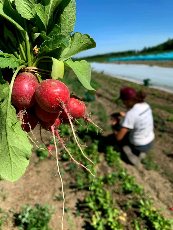 Coop Au bout du rang | 5971 Rang 1 de Sainte Cécile, Saint-Félix-de-Valois, QC J0K 2M0, Canada | Phone: (450) 271-1151