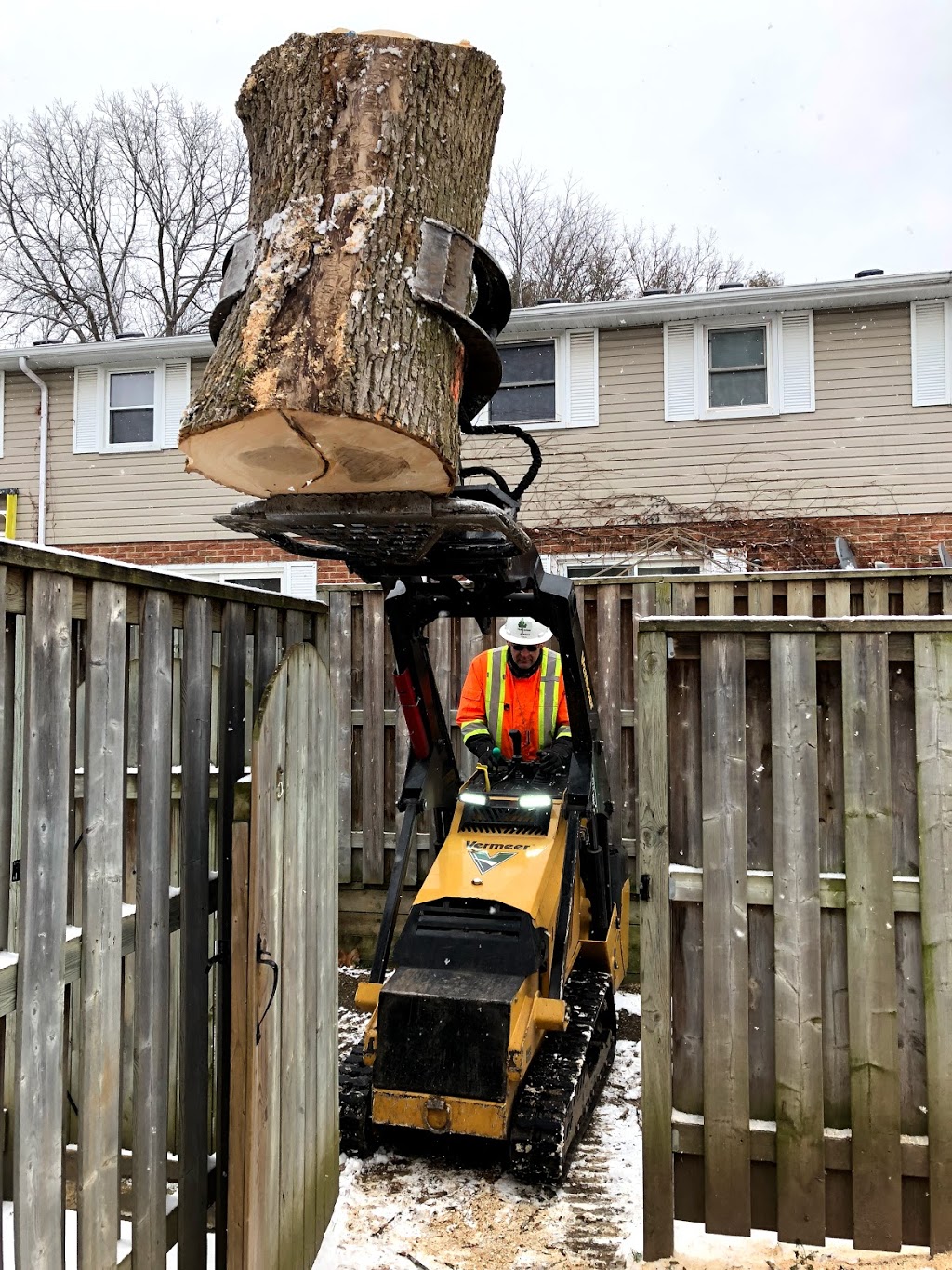 Florapine Tree Service Inc. | 8768 ON-6, Arthur, ON N0G 1A0, Canada | Phone: (519) 669-1836