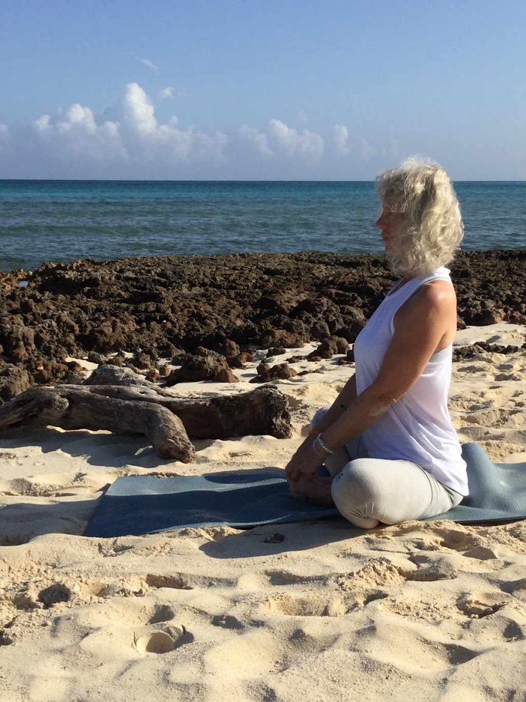 MARINA MACLEAN YOGA | 822 Rye St, Peterborough, ON K9J 6W9, Canada | Phone: (705) 927-5310