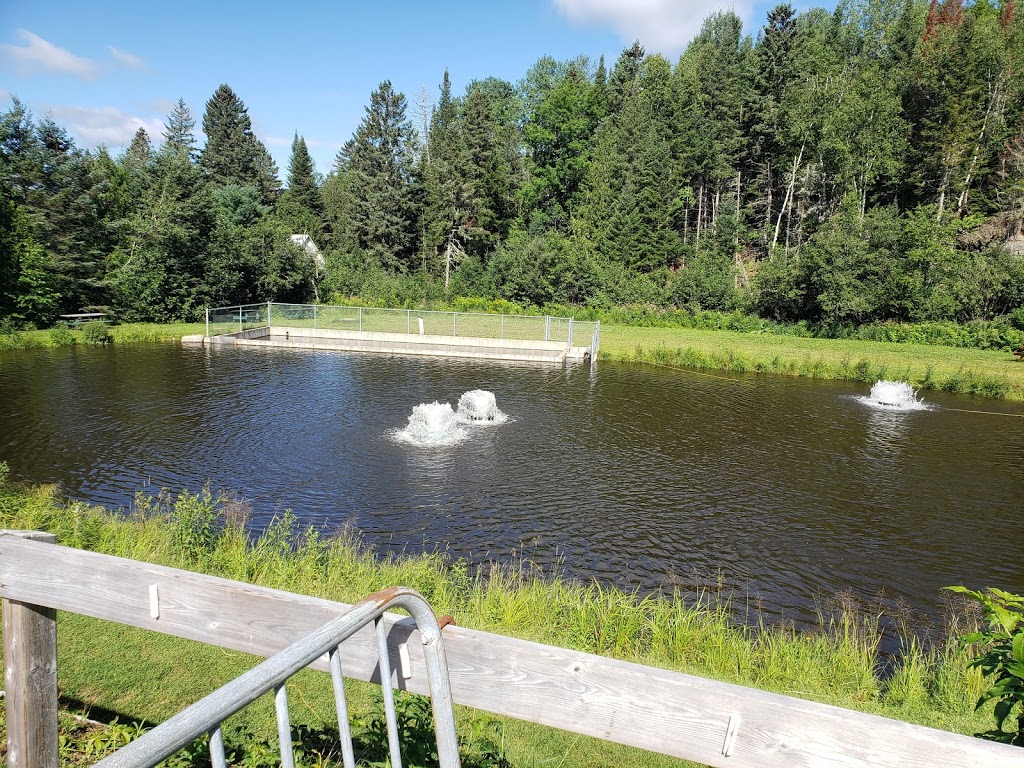Pisciculture Tardif & Fils pêche en étang et ensemencement truite. | 550 Rang Petit Beloeil, Saint-Côme, QC J0K 2B0, Canada | Phone: (450) 883-1748