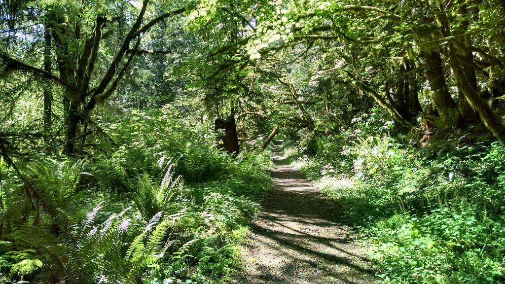 Maple Creek Park Maple Falls-Glacier Trail | 7836-7856 Silver Lake Rd, Maple Falls, WA 98266, USA | Phone: (360) 599-1518