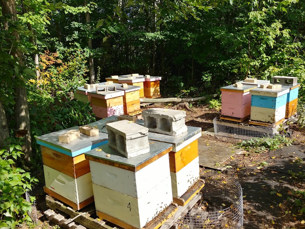 Le miel de la mère à Camille | 21 Chem. des Oiseaux, Sainte-Anne-des-Lacs, QC J0R 1B0, Canada | Phone: (514) 943-5110