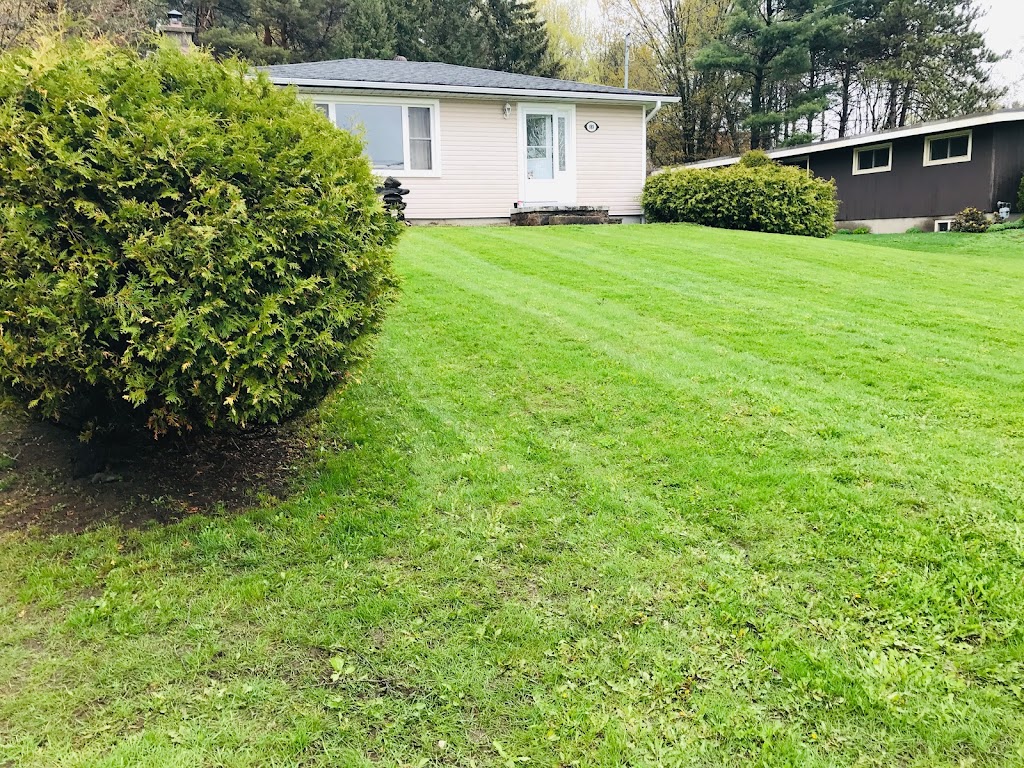 Days Lawn & Garden | 888 Yonge St, Midland, ON L4R 2E7, Canada | Phone: (705) 209-2150