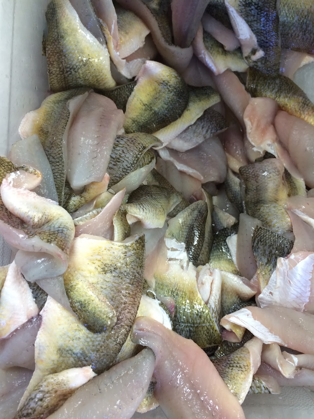 Taylor Fish Company | 419 Erie St S, Wheatley, ON N0P 2P0, Canada | Phone: (519) 825-7366