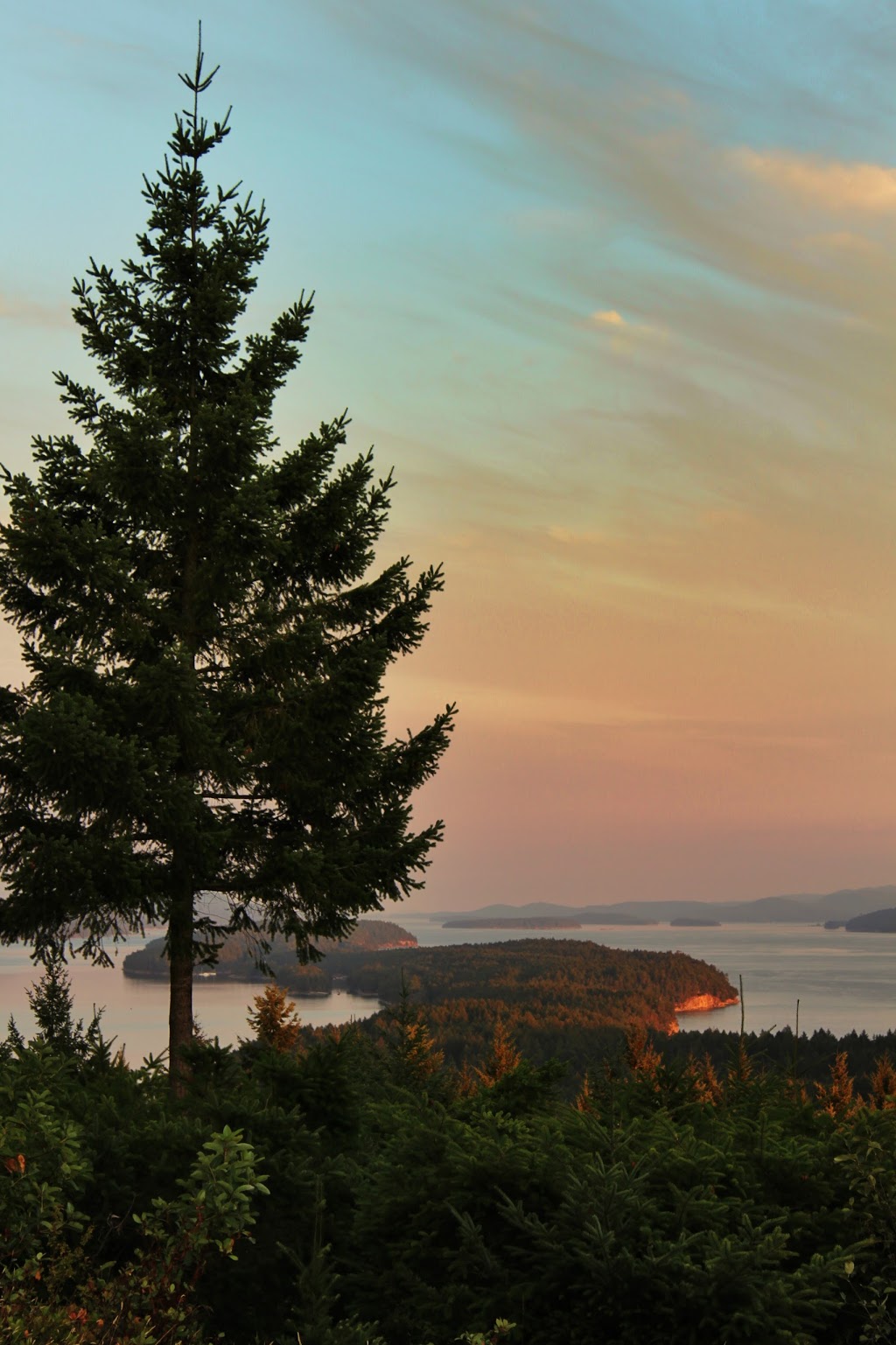 Arbutus Bluff Bed and Breakfast | 1425 Coats Dr, Gabriola, BC V0R 1X6, Canada | Phone: (250) 247-9170