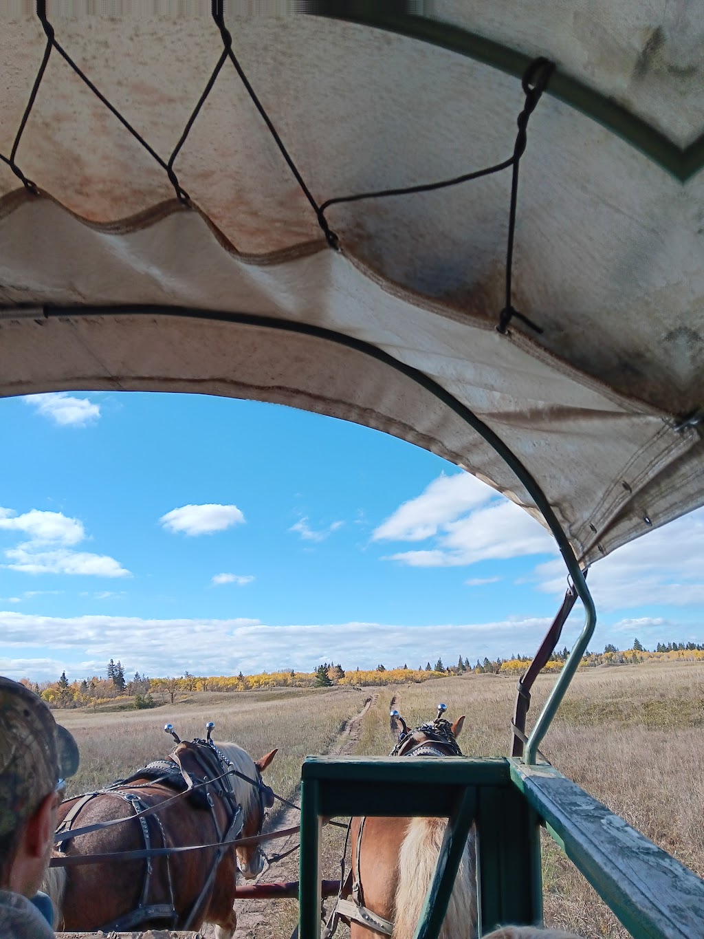 Spirit Sands Wagon Outfitters | MB-5, Glenboro, MB R0K 0X0, Canada | Phone: (204) 526-7727