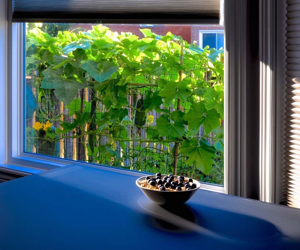 M & M Window Company Inc | 7537 Kennedy Rd, Markham, ON L3R 0L8, Canada | Phone: (905) 305-0530