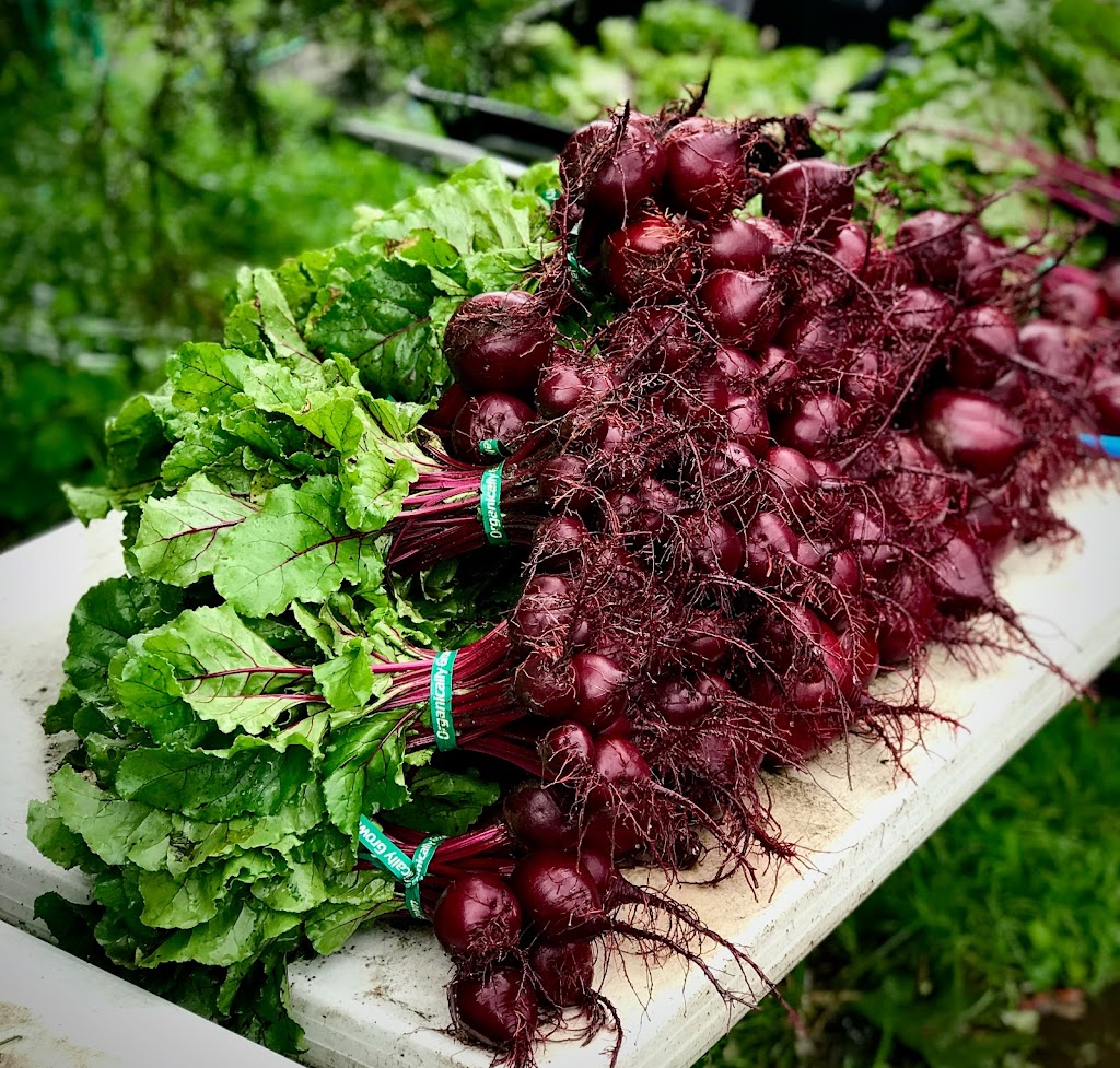 Plenty Wild Farms | 7611 Pemberton Meadows Rd, Pemberton, BC V0N 2L2, Canada | Phone: (604) 938-3730