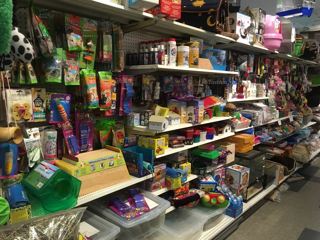 Puppies Fish & Critters | 7019 120 St, Delta, BC V4E 2A9, Canada | Phone: (604) 590-3727