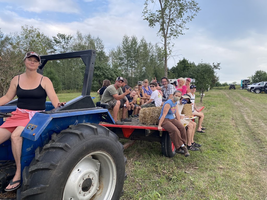 Wilson Creek Farms | 1331 3 Line, Lefroy, ON L0L 1W0, Canada | Phone: (226) 218-4638