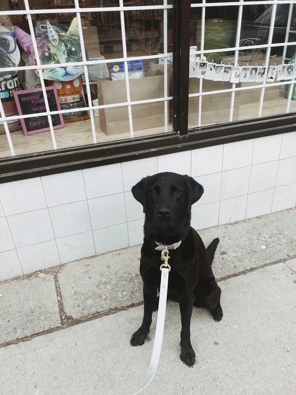 Parkdale Pet Foods | 1556 Queen St W, Toronto, ON M6R 1A6, Canada | Phone: (416) 534-8188