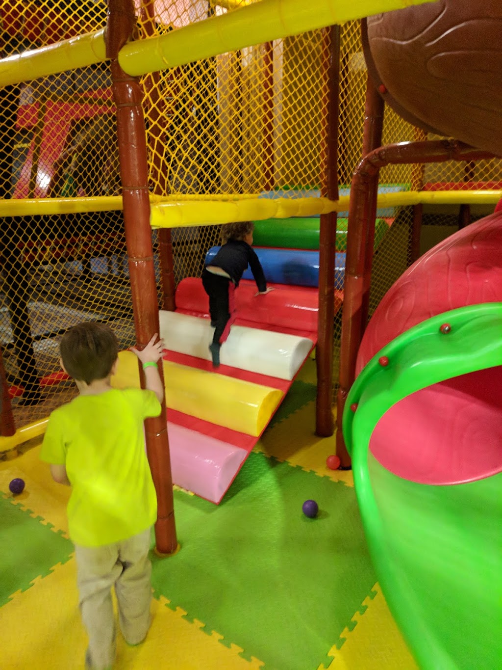 Jungle Hut Entertainment | 2289 Barton St E unit 8, Hamilton, ON L8E 2W8, Canada | Phone: (905) 573-5000