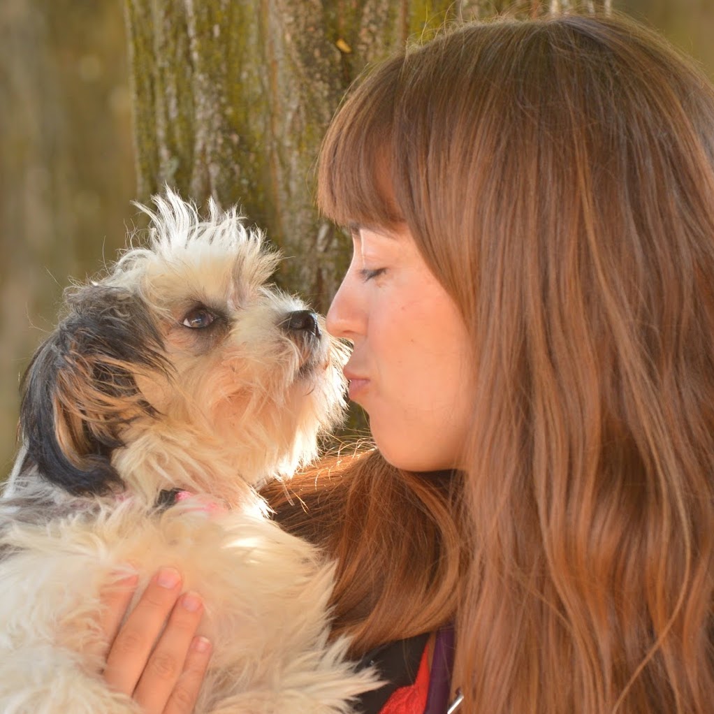 Aldergrove Animal Hospital Ltd | 26841 Fraser Hwy, Aldergrove, BC V4W 3E4, Canada | Phone: (604) 856-7707
