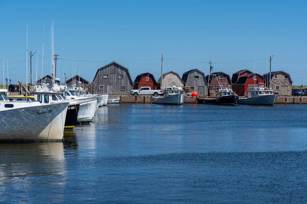 Cabot Beach Provincial Park | 449 Malpeque Rd, Prince Edward Island C0B 1P0, Canada | Phone: (902) 836-8945