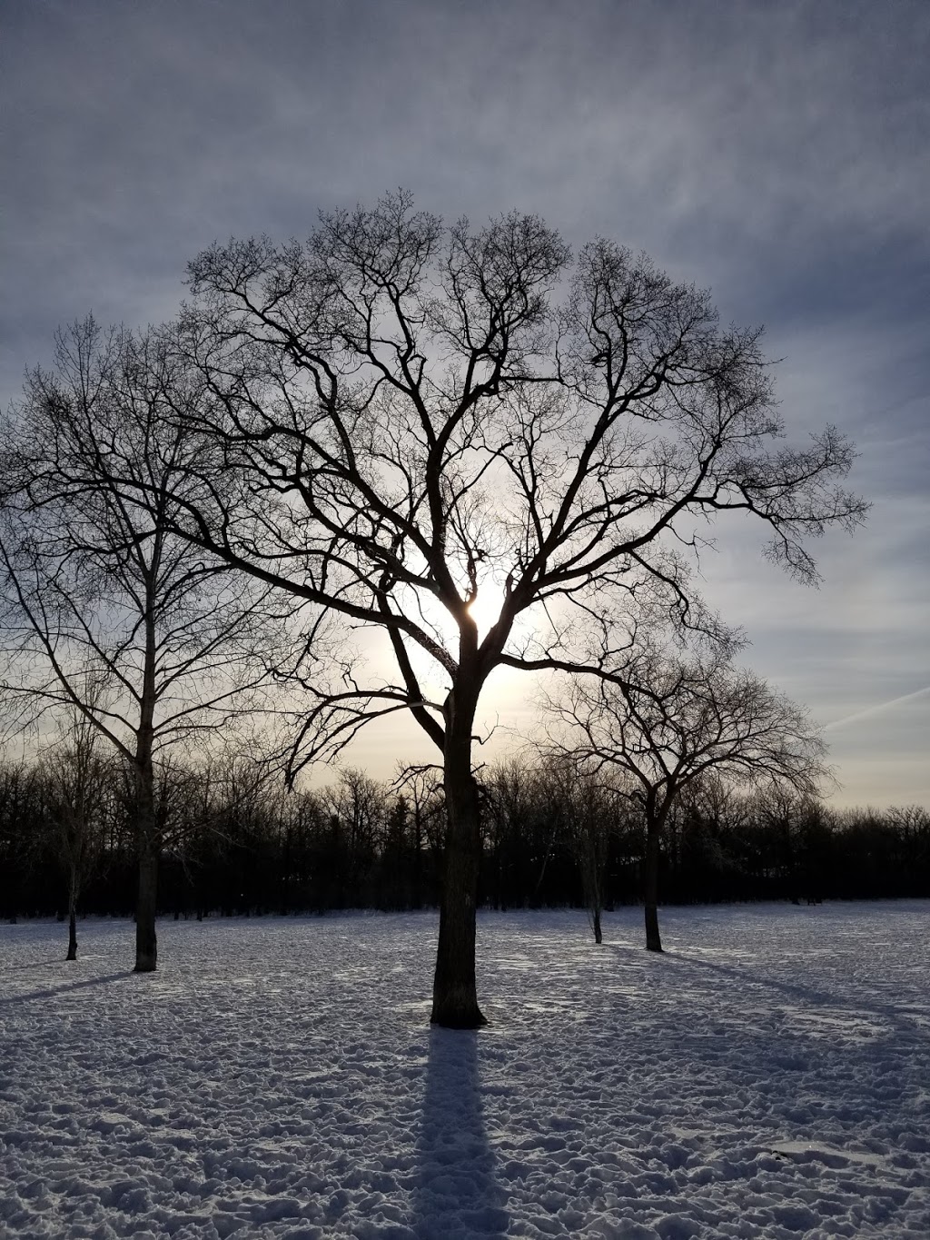 Charleswood Off Leash Dog Park | 3890 Haney St, Winnipeg, MB R3R, Canada