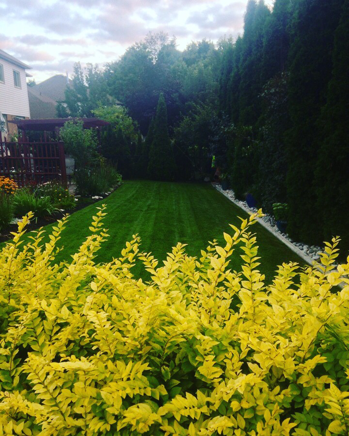 Fine Line Lawn Care & Landscaping | 18789 Cornell Rd, Tillsonburg, ON N4G 4G8, Canada | Phone: (289) 440-1274