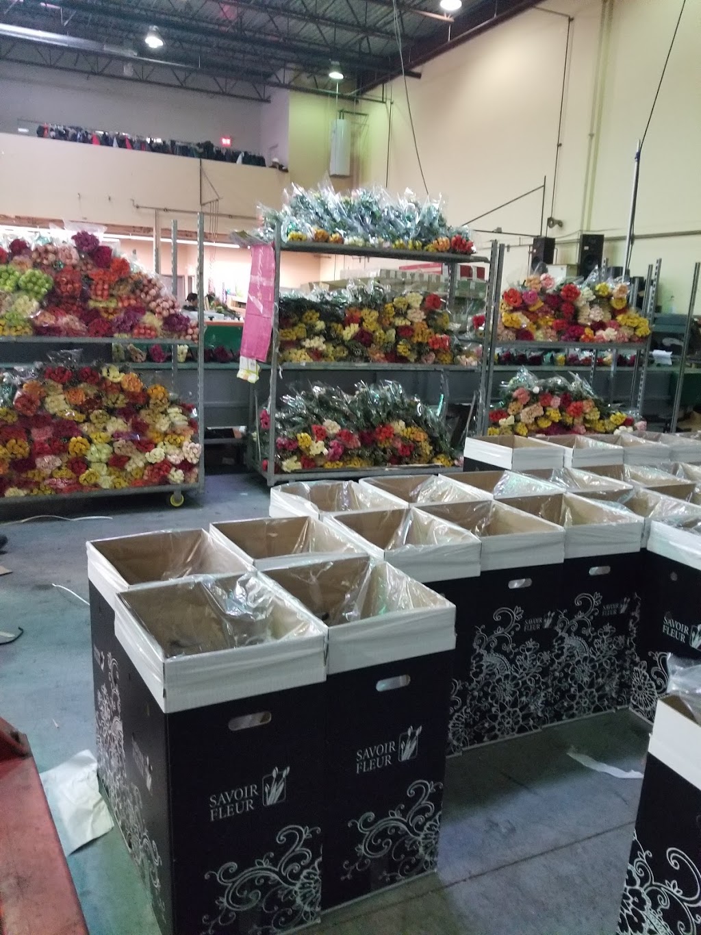 Savoir Fleur | 935 Rue Reverchon, Saint-Laurent, QC H4T 4L2, Canada | Phone: (514) 733-6087
