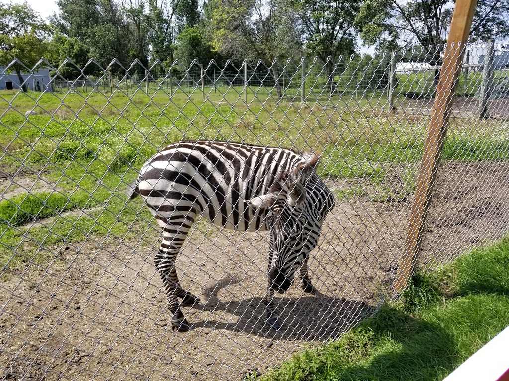 Oshawa Zoo | 3377 Grandview St N, Oshawa, ON L1H 8L7, Canada | Phone: (905) 655-5236