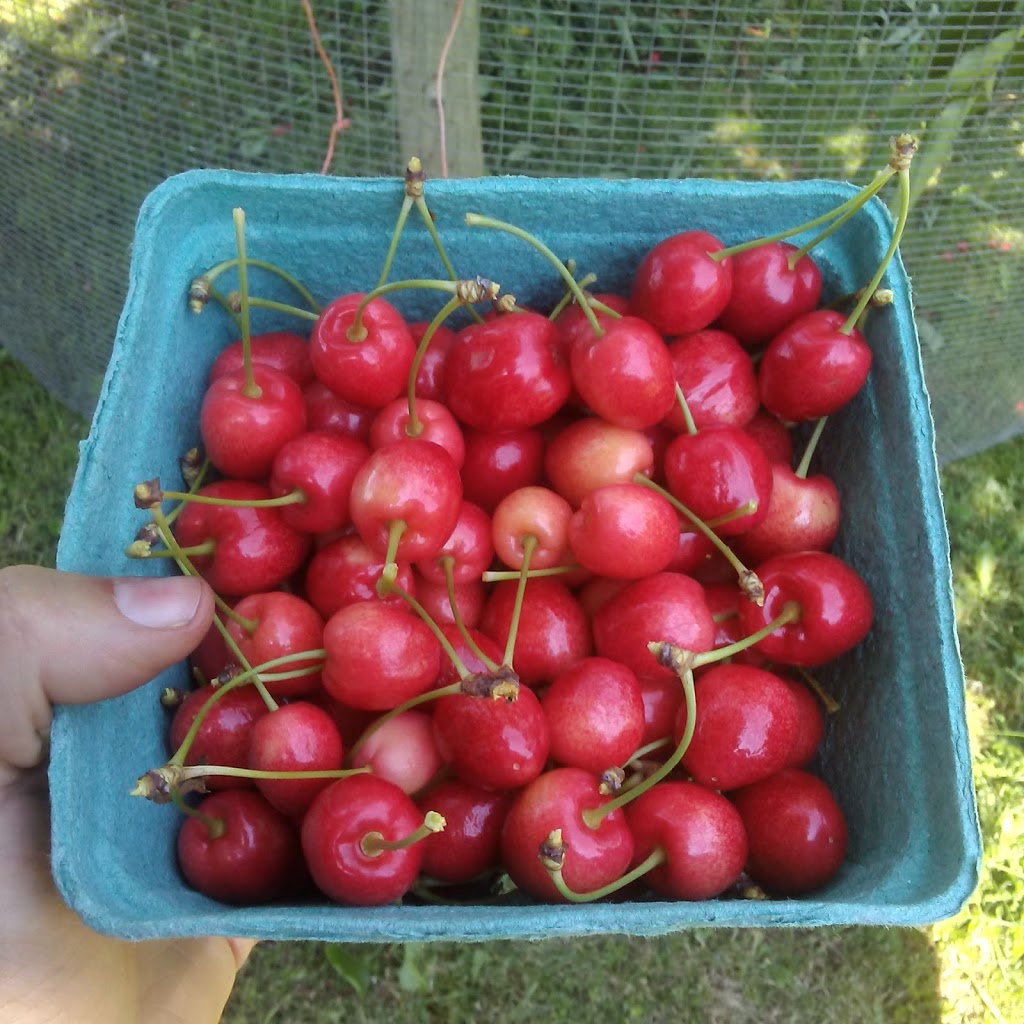 Olde Furrow Farm | 569 Belcher St, Port Williams, NS B0P 1T0, Canada | Phone: (902) 690-7621