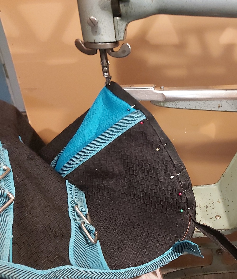 Frog Hollow Equine Services | 52128 Range Rd 14, Carvel, AB T7Y 2E1, Canada | Phone: (780) 905-8377