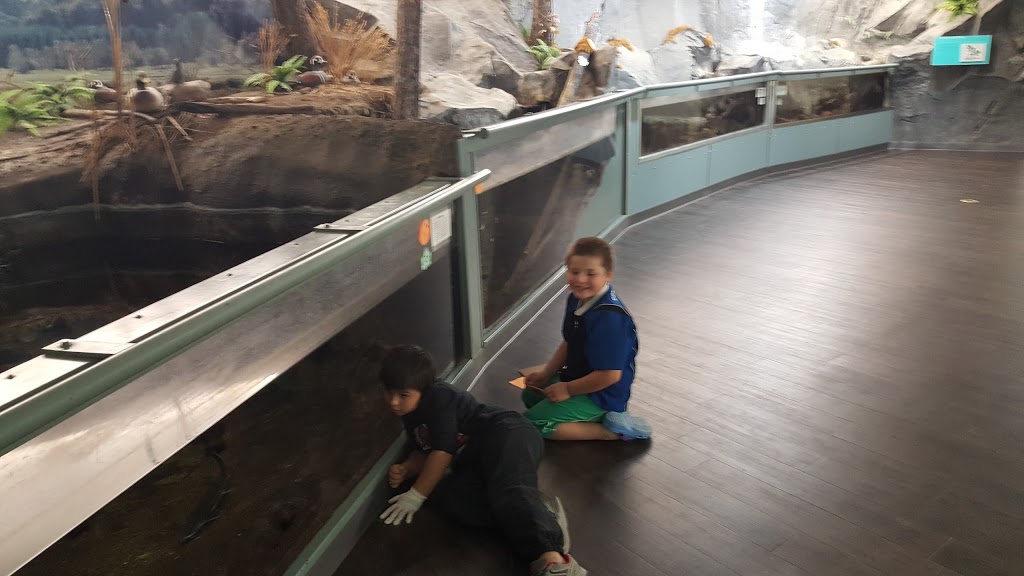 Fraser Valley Trout Hatchery & Visitor Centre | 34345 Vye Rd, Abbotsford, BC V2S 7P6, Canada | Phone: (604) 504-4716