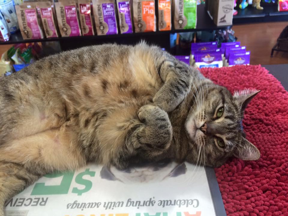 Bosleys by Pet Valu | 2306 BC-6 #210, Vernon, BC V1T 7E3, Canada | Phone: (250) 558-0566