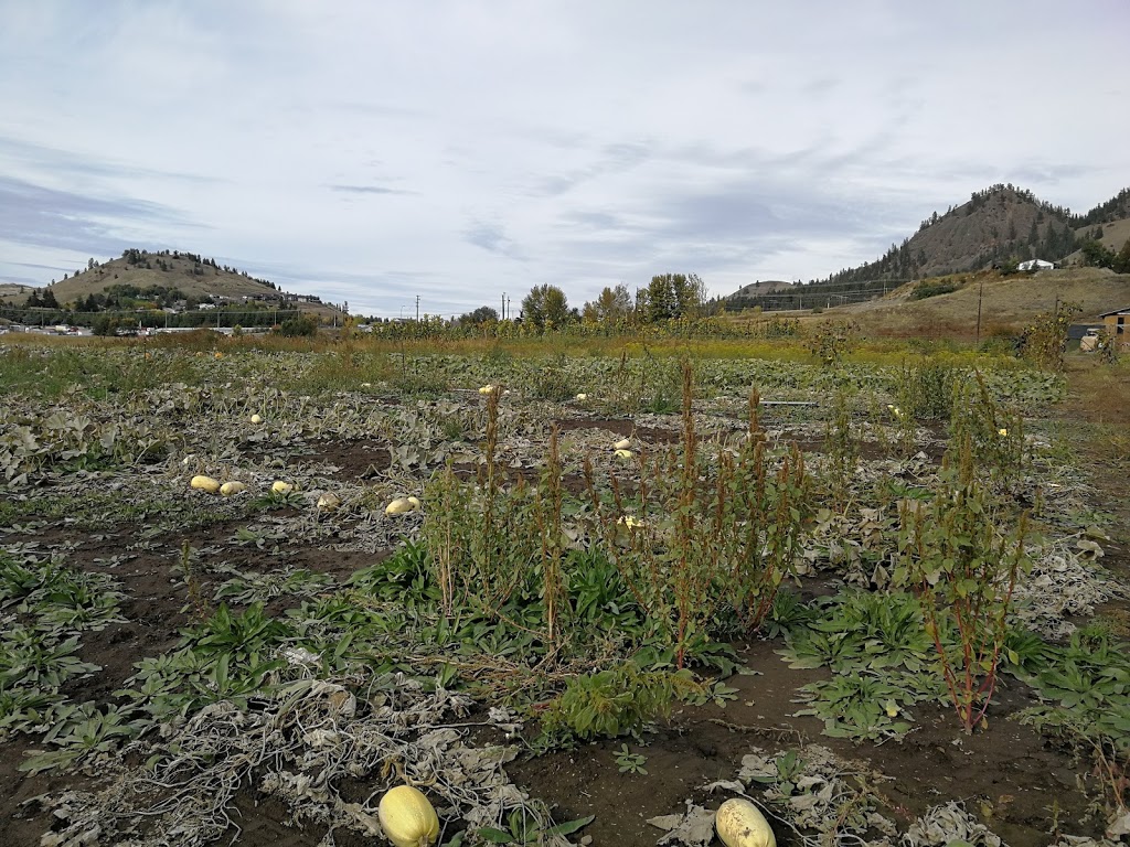 The Herb Patch | 1850 Brentwood Rd, Kelowna, BC V1P 1H2, Canada