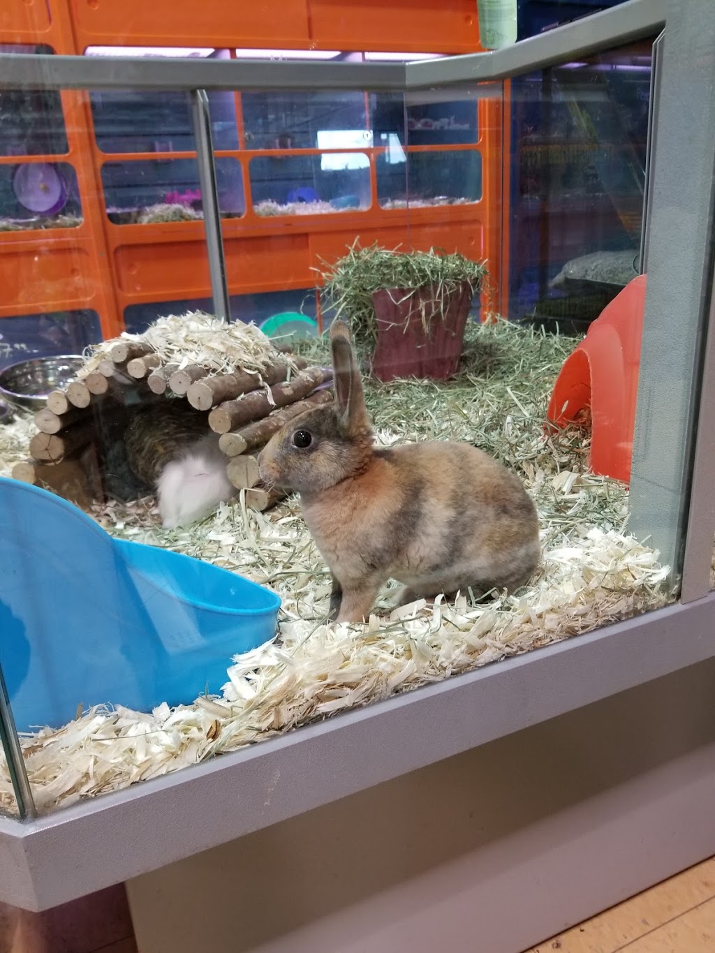 Pet Valu | 4 New, Pinegrove Rd Unit #5, Bridgewater, NS B4V 4H5, Canada | Phone: (902) 527-2104