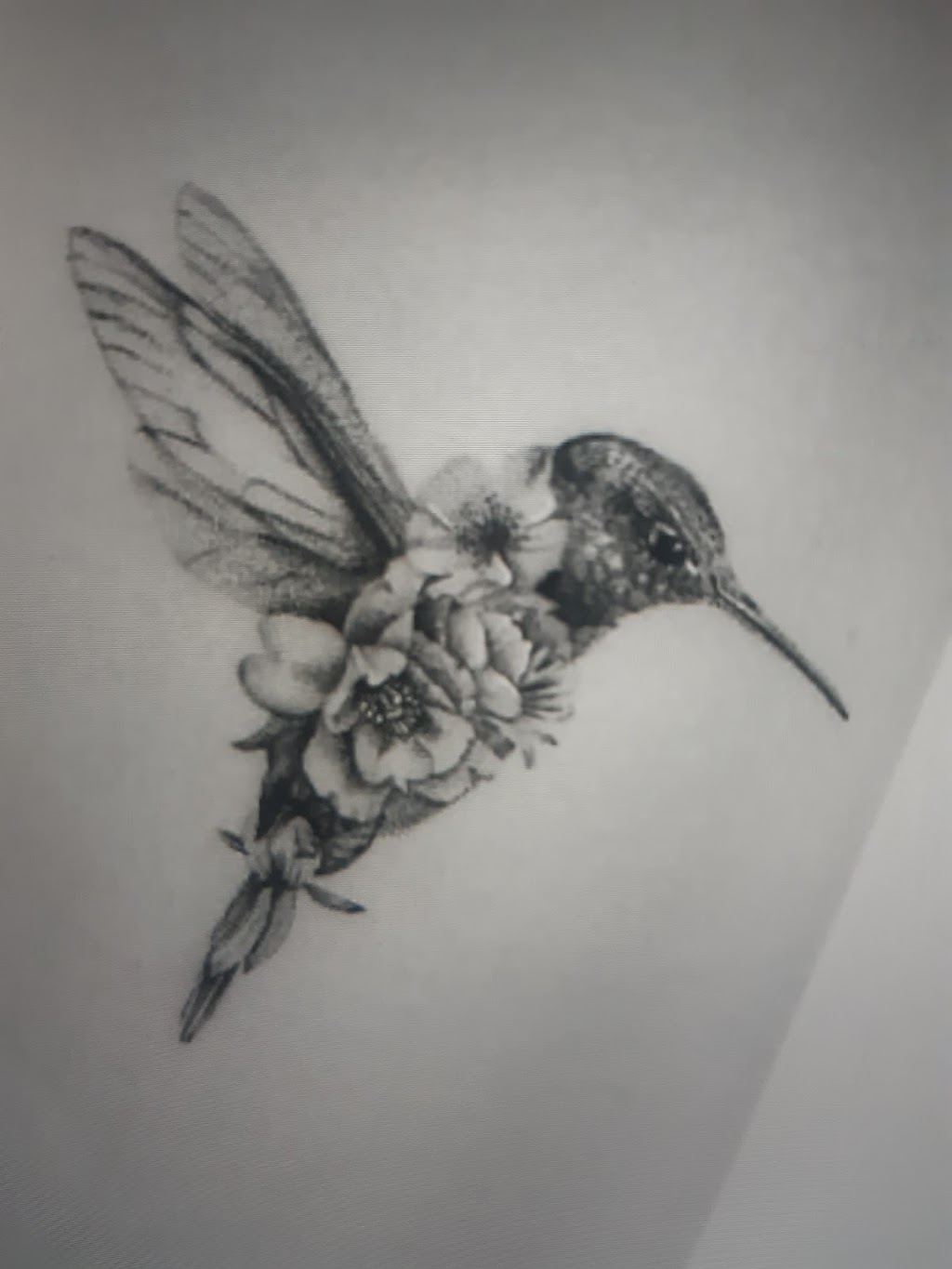 Young Artists Canada | 6 Alyssa Dr #5084, Beamsville, ON L0R 1B2, Canada | Phone: (289) 981-7477