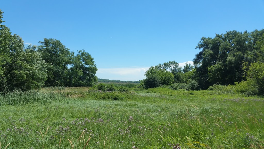 McLaughlin Bay Wildlife Reserve - Second Marsh Wildlife Area | Beaton, Oshawa, ON, Canada