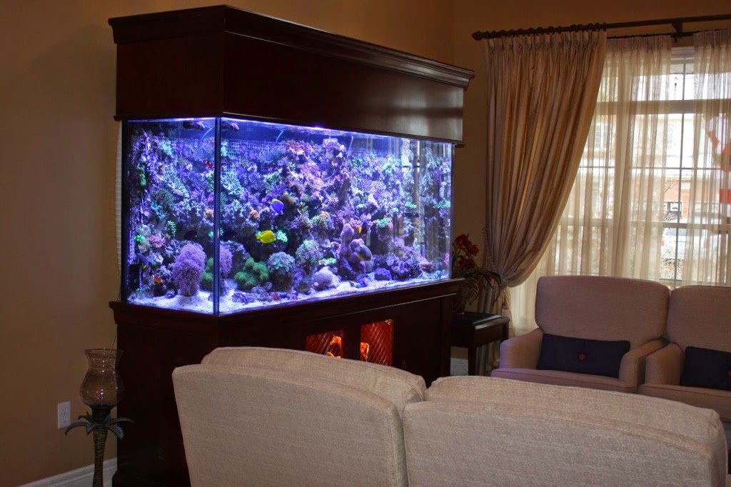 Burlington Aquariums | 4253 Price Ct, Burlington, ON L7M 4X3, Canada | Phone: (905) 466-7127