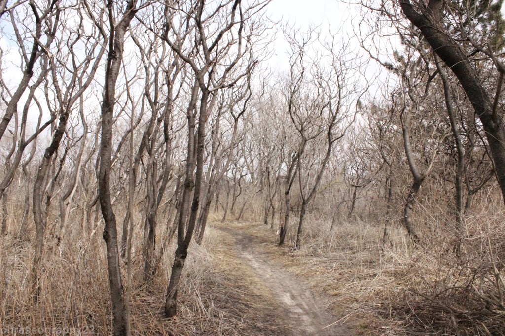 Lower Don Recreation Trail | 701 Lower Don Recreation Trail, Toronto, ON M3C, Canada