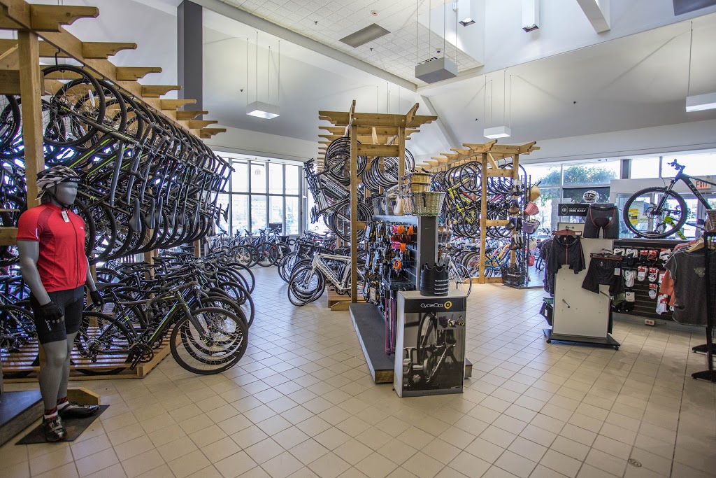 gears bike store