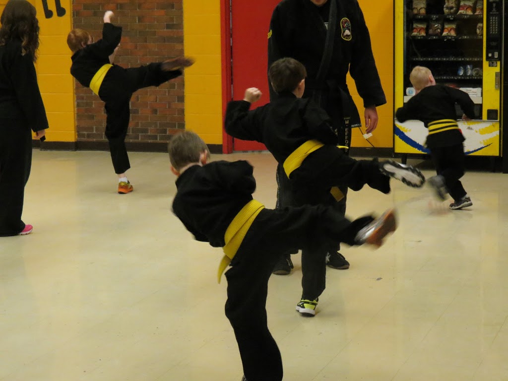 Mount Pearl School Of Martial Arts | ODonel High School, Mount Pearl, NL A1N 4M9, Canada | Phone: (709) 682-0335