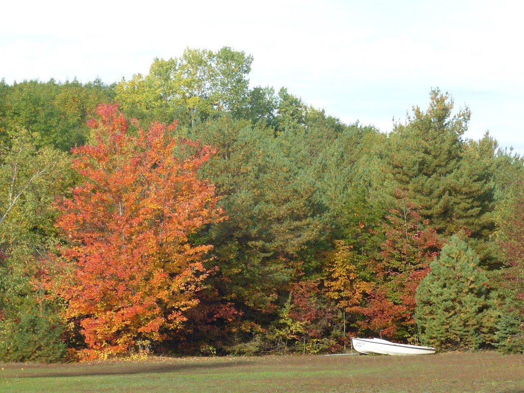 Plein Air Ville-Joie | 11441 Rue Notre Dame O, Trois-Rivières, QC G9B 6W5, Canada | Phone: (819) 377-3987