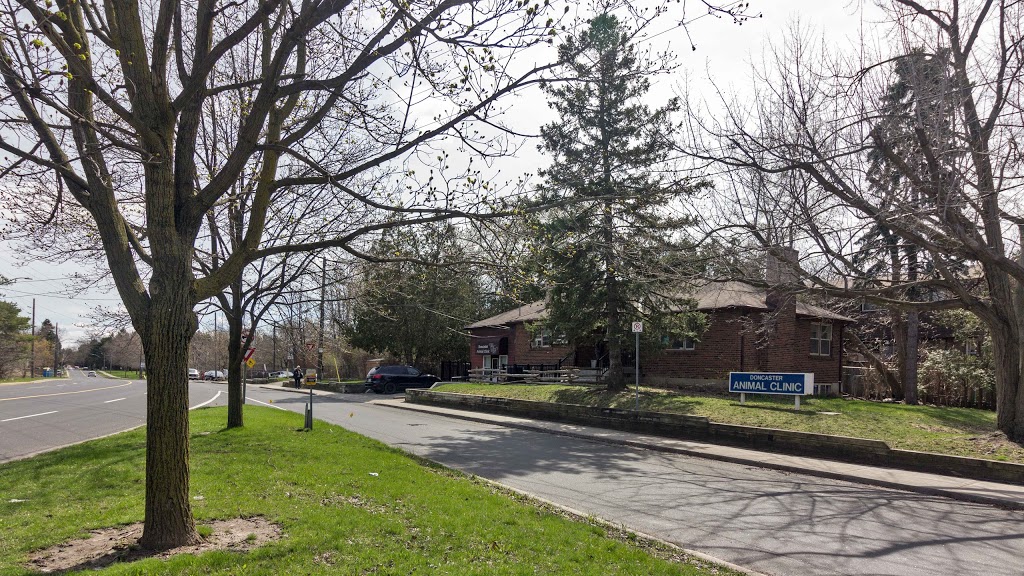 Doncaster Animal Clinic | 99 Henderson Ave, Thornhill, ON L3T 2K9, Canada | Phone: (905) 881-2922