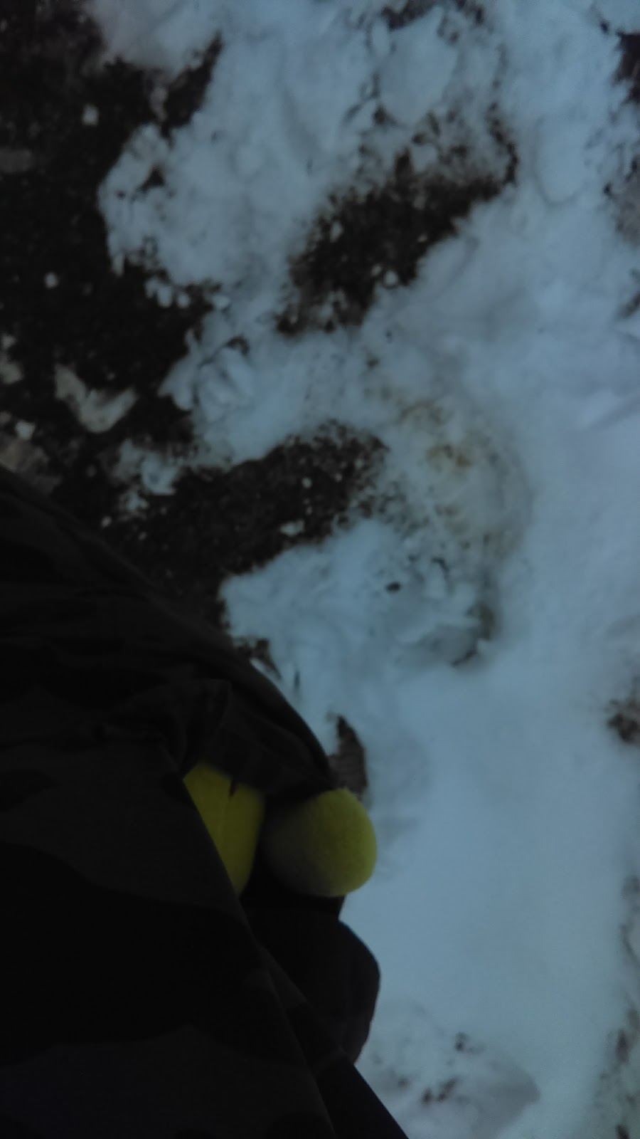 Erabliere Chalet Des Erables | 323 Chemin Smith, Cookshire-Eaton, QC J0B 1M0, Canada | Phone: (819) 875-5315