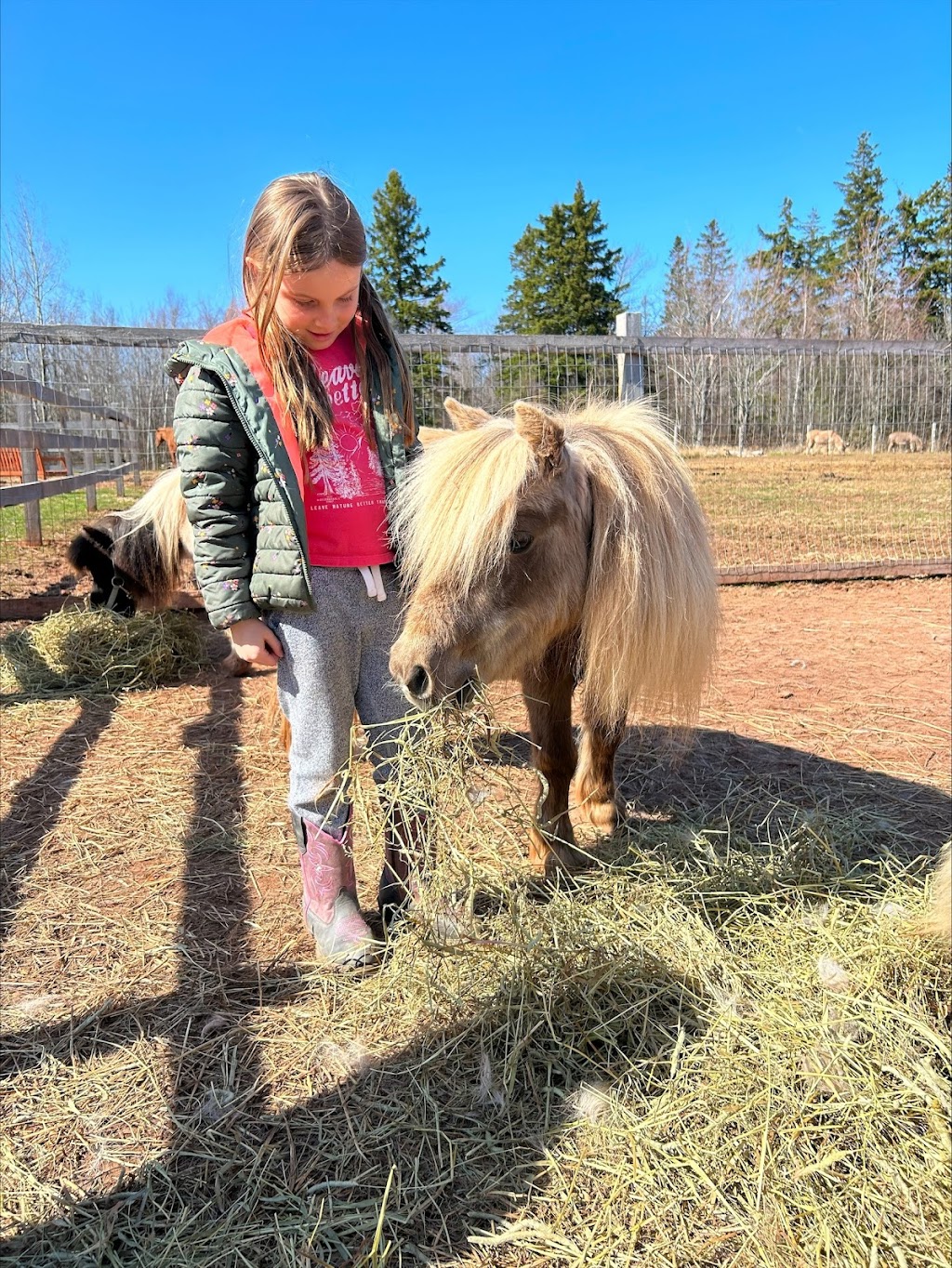 Whispering Hope Farm | 347 Ellerslie Rd, Ellerslie, PE C0B 1J0, Canada | Phone: (902) 303-3491