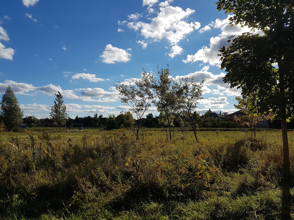 Monarch Park | 77 Longwater Chase, Unionville, ON L3R 4A9, Canada | Phone: (905) 415-7535