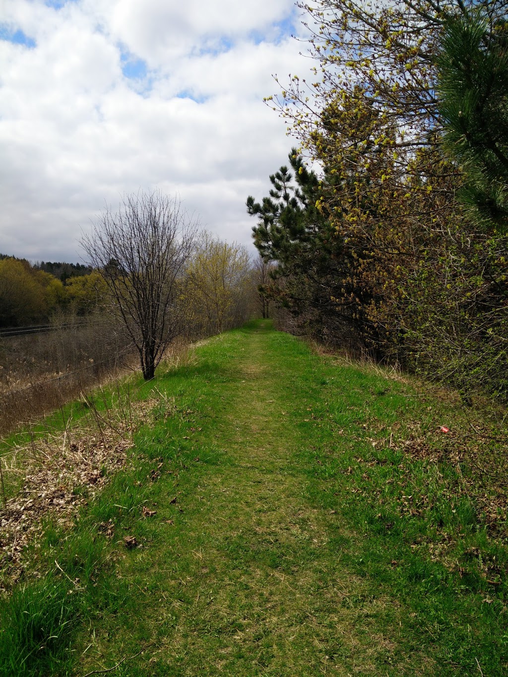 Harding Park | 300 Cedar Ave, Richmond Hill, ON L4C 2B4, Canada | Phone: (905) 771-8870