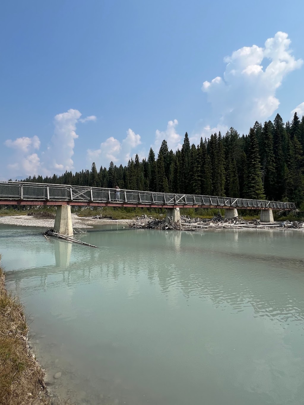 McLeod Meadows CG, Kootenay NP | Banff-Windermere Hwy, Edgewater, BC V0A 1E0, Canada | Phone: (877) 737-3783