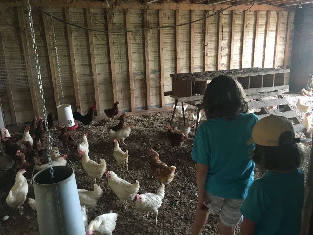Vibrant Farms Organic | 2669 Carmel-Koch Rd, Baden, ON N3A 3R9, Canada | Phone: (519) 957-9681