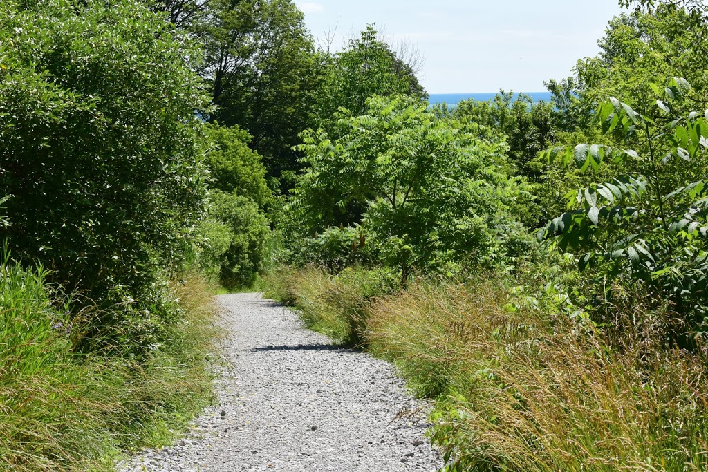 Gates Gully | Cliffcrest, Toronto, ON M1M, Canada
