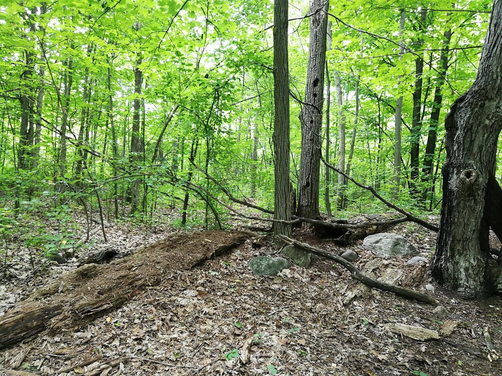 Athans Park | 1779 St Barbara St, Gloucester, ON K1T 1M3, Canada