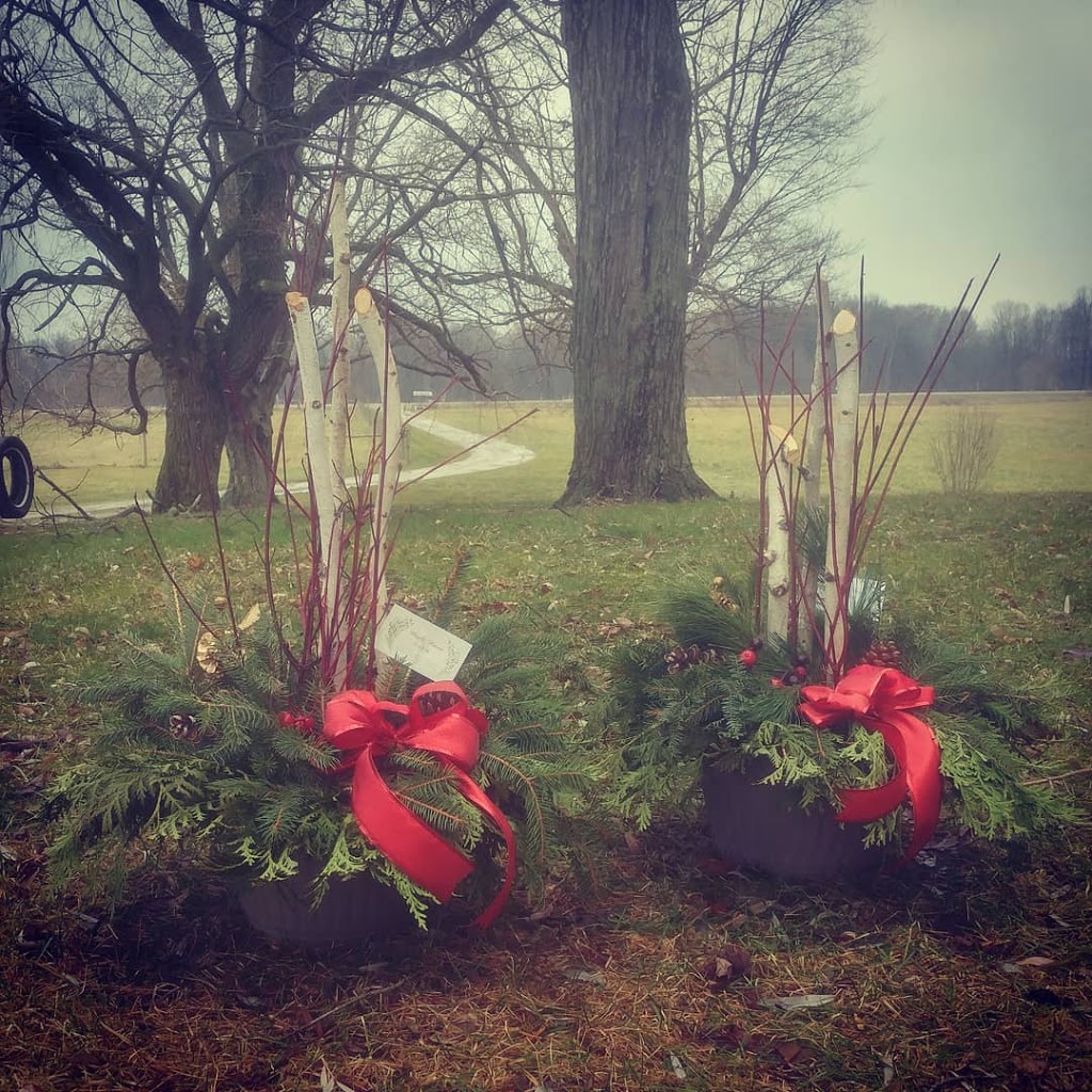 Maple Haven Farm | 54710 Heritage Line, Straffordville, ON N0J 1Y0, Canada | Phone: (519) 877-9066