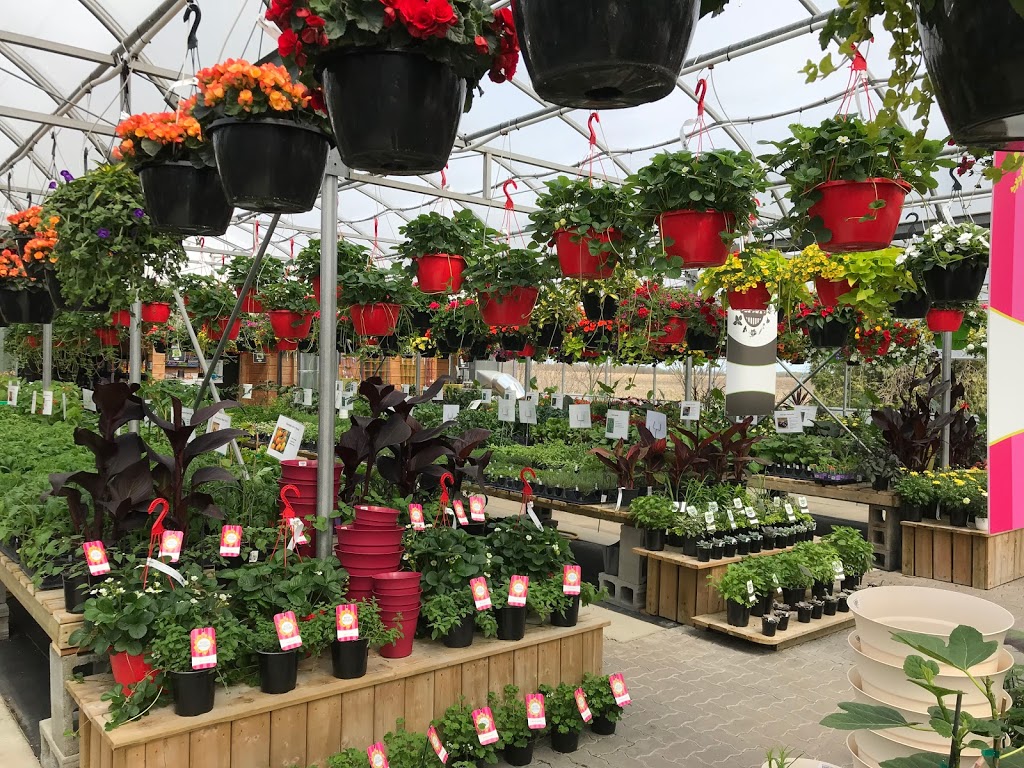 Les Jardins Gourmands Inc. | 2236 Rang Saint-Jacques, Saint-Jacques, QC J0K 2R0, Canada | Phone: (450) 839-9253