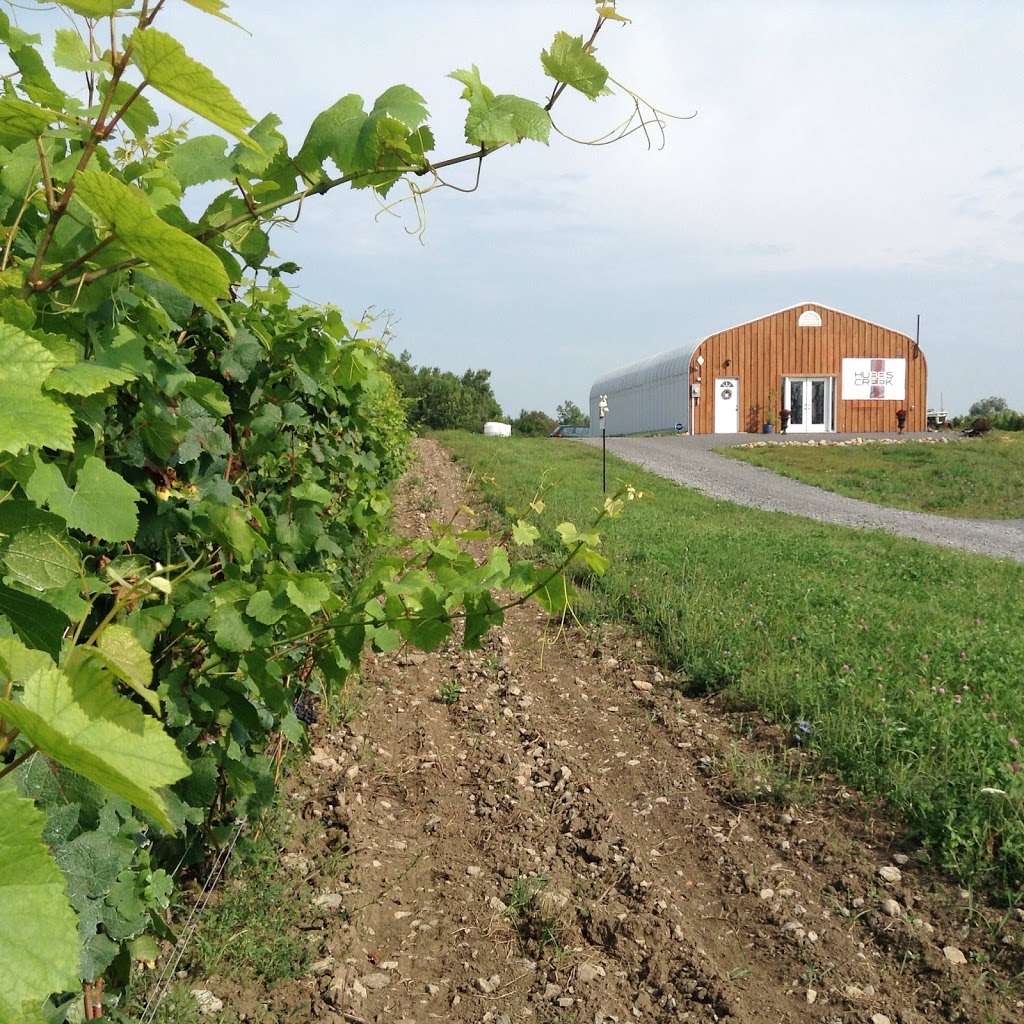 Hubbs Creek Vineyard | 562 Danforth Rd, Wellington, ON K0K 3L0, Canada | Phone: (647) 521-2395
