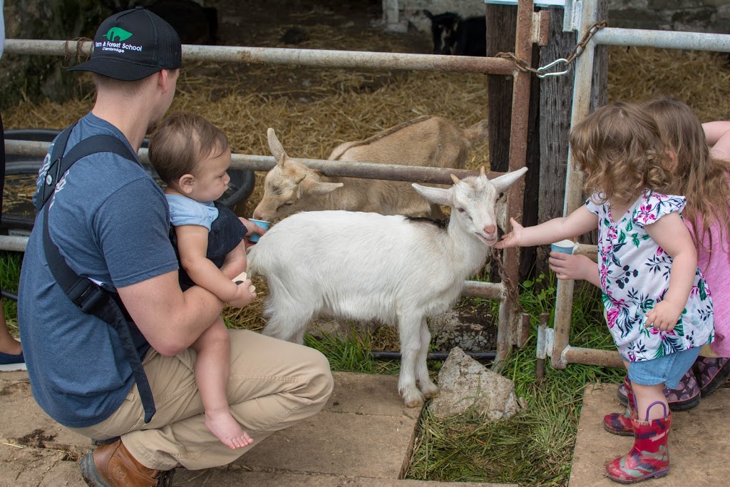 Cambridge Farm and Forest School | 3238 Old Beverly Rd, Cambridge, ON N1R 5S7, Canada | Phone: (226) 533-9591