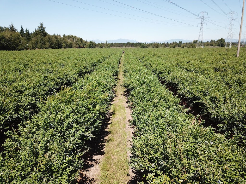 JP Farms | 5863 104 St, Delta, BC V4K 3N3, Canada | Phone: (778) 869-4545