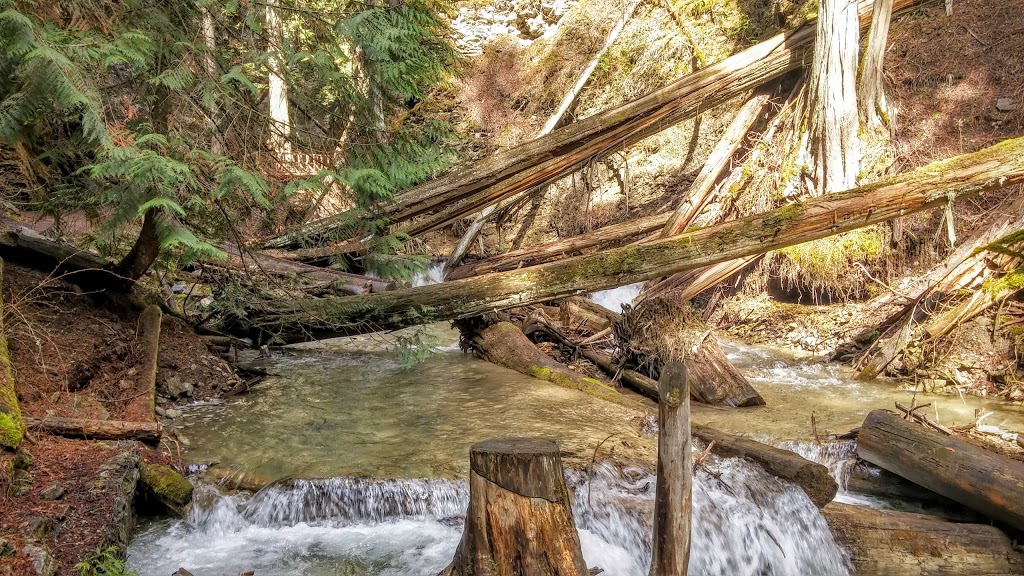Margaret Falls | Sunnybrae-Canoe Point Rd, Columbia-Shuswap C, BC V0E 1K0, Canada | Phone: (800) 689-9025